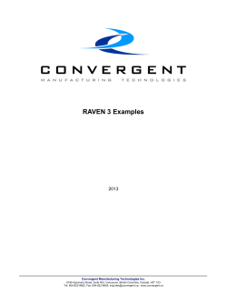RAVEN 3 Examples