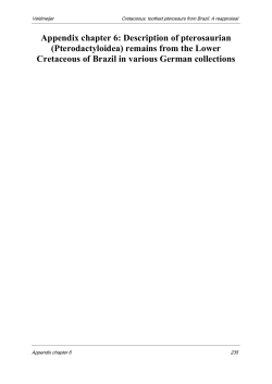 Appendix chapter 6: Description of pterosaurian (Pterodactyloidea