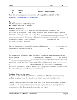 Lab 1 - Amoeba Observations