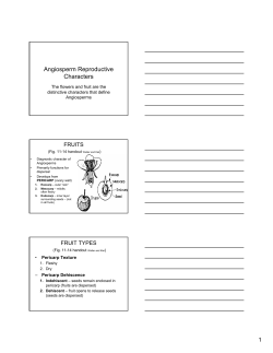 Angiosperm Reproductive Characters