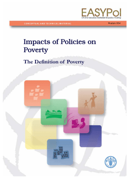 Impacts of Policies on Poverty: The Definition of Poverty