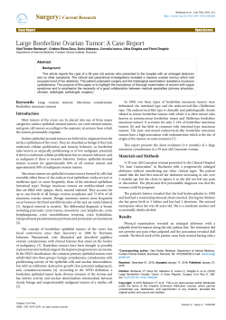 Large Borderline Ovarian Tumor: A Case Report
