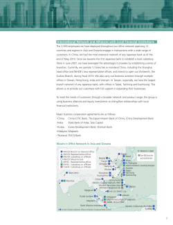 International Network and Alliances with Local Financial Institutions