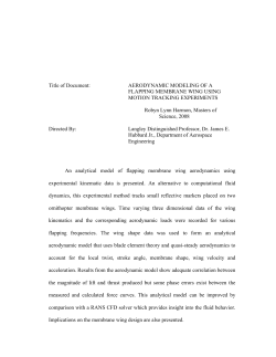 Title of Document: AERODYNAMIC MODELING OF A FLAPPING