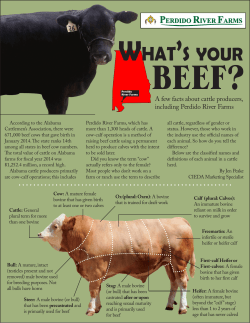Whats Your Beef? - The Poarch Band of Creek Indians
