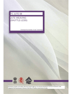 Jute Weaving Shuttle less