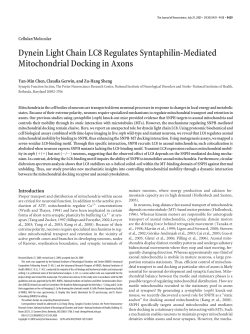 Dynein Light Chain LC8 Regulates Syntaphilin