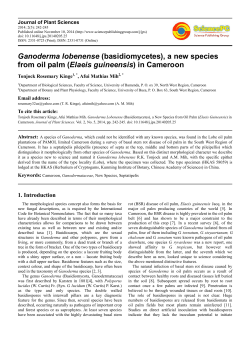 Ganoderma lobenense (basidiomycetes), a new species from oil