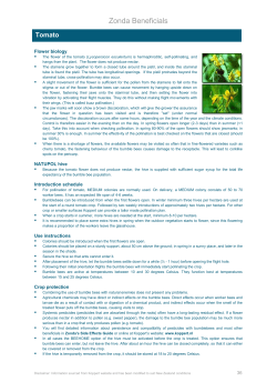 Tomato - Zonda Beneficials