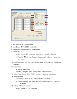 DIGE SE 600 small plates 9. Select the number of gels