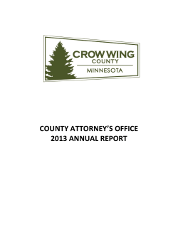 2013 Annual Report