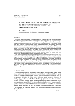 MUTATIONS INDUCED IN AMOEBA PROTEUS BY THE