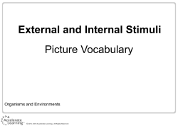 External and Internal Stimuli Picture Vocabulary