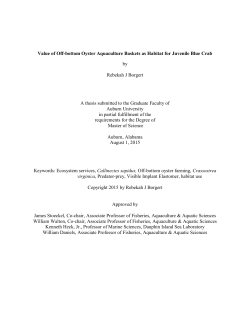 R.Borgert.Thesis.2015.7 - AUETD Home