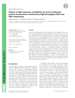 Effects of light and prey availability on Arctic freshwater protist