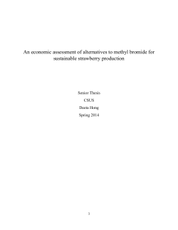 An economic assessment of alternatives to methyl bromide for