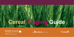 Cereal Staging Guide - Alberta Agriculture and Forestry