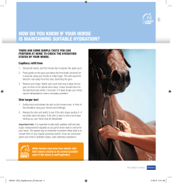 6 HOW DO YOU KNOW IF YOUR HORSE IS MAINTAINING