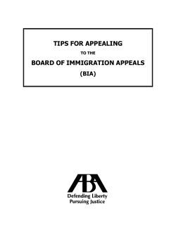 tips for appealing board of immigration appeals