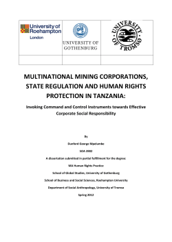MULTINATIONAL MINING CORPORATIONS, STATE REGULATION