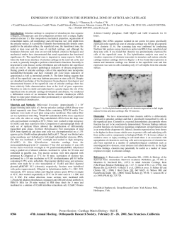 expression of clusterin in the superficial zone of articular cartilage