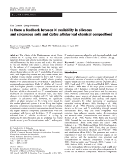Is there a feedback between N availability in siliceous and