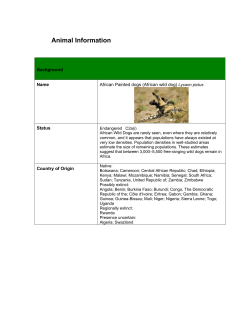 Animal Information