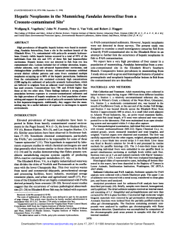 Hepatic Neoplasms in the Mummichog Fundulus