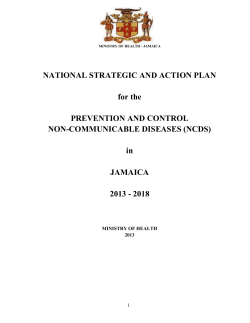 National Strategic and Action Plan for the Prevention and Control