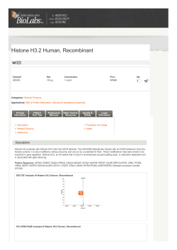 Histone H3.2 Human, Recombinant | NEB