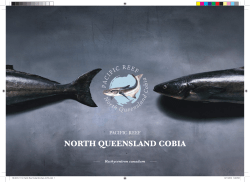 north queensland cobia - Pacific Reef Fisheries