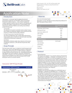 Determination of K m for ATP and Kemptide with