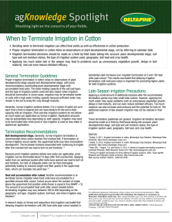 When to Terminate Irrigation in Cotton