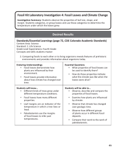 Fossil Leaves and Climate Change