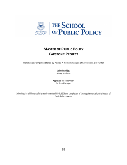 master of public policy capstone project