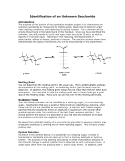 Identification of an Unknown Saccharide