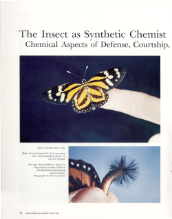 The Insect as Synthetic Chemist: Chemical Aspects of Defense