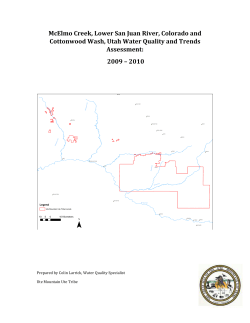 Cottonwood Wash - Ute Mountain Ute Tribe