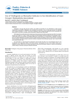 Peer-reviewed Article PDF - e