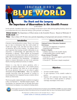 The Shark and the Lamprey - Jonathan Bird`s Blue World