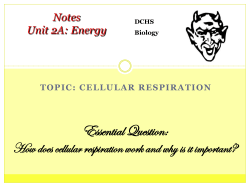 notes 2a cellular respiration