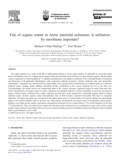 Fate of organic matter in Arctic intertidal sediments: Is utilisation by