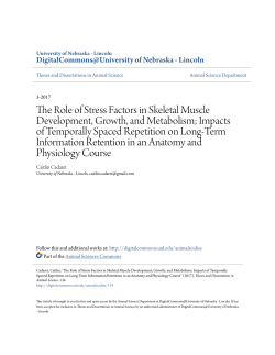 The Role of Stress Factors in Skeletal Muscle Development, Growth