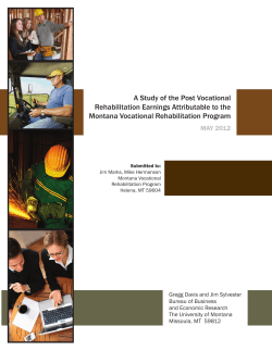 A Study of the Post Vocational Rehabilitation Earnings Attributable