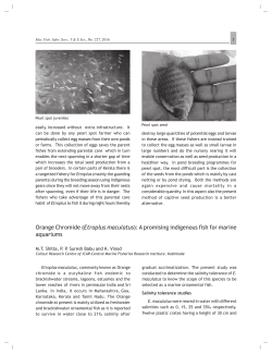 Orange Chromide (Etroplus maculatus): A promising indigenous fish