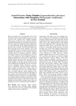 Pinnoctopus cordiformis - Aquatic Mammals Journal
