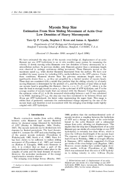 Myosin Step Size - Semantic Scholar