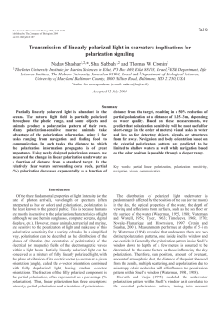 Transmission of linearly polarized light in seawater