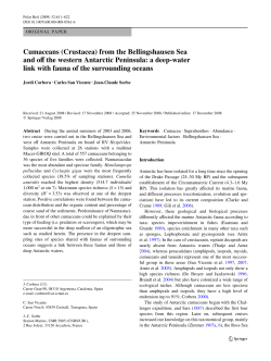 Cumaceans (Crustacea) from the Bellingshausen Sea and