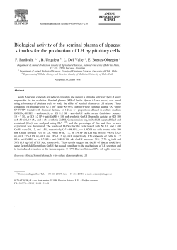 Biological activity of the seminal plasma of alpacas: stimulus for the
